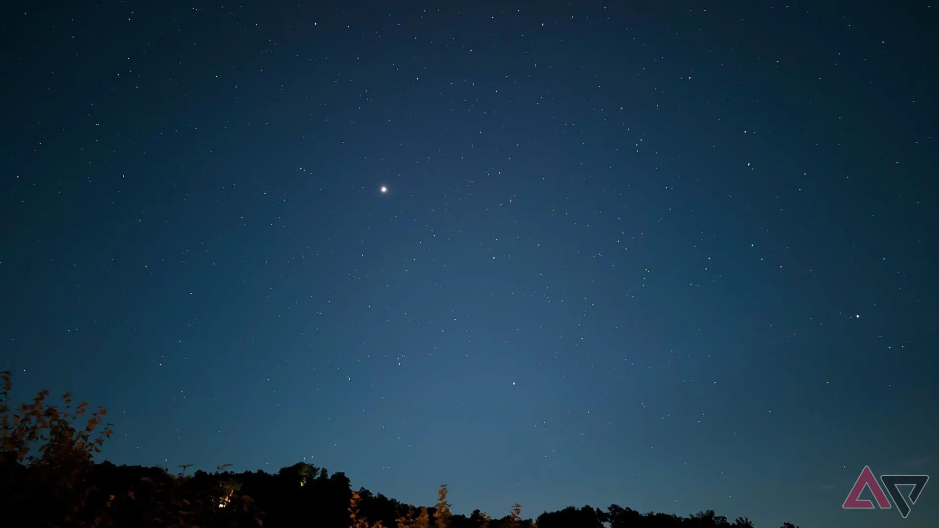 Bầu trời đêm đầy sao và đường chân trời cây cối được chụp bằng chế độ Astrophotography trên Pixel 9a