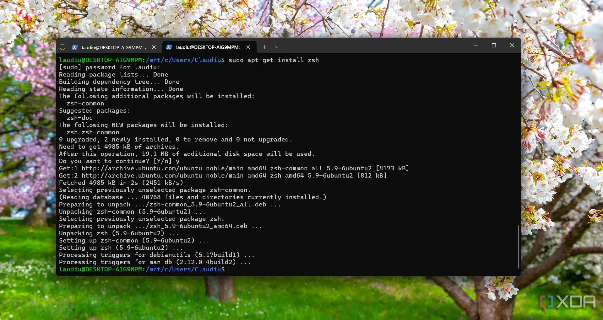 Cài đặt ZSH trên Windows Subsystem for Linux (WSL), tính năng đột phá của Windows 10