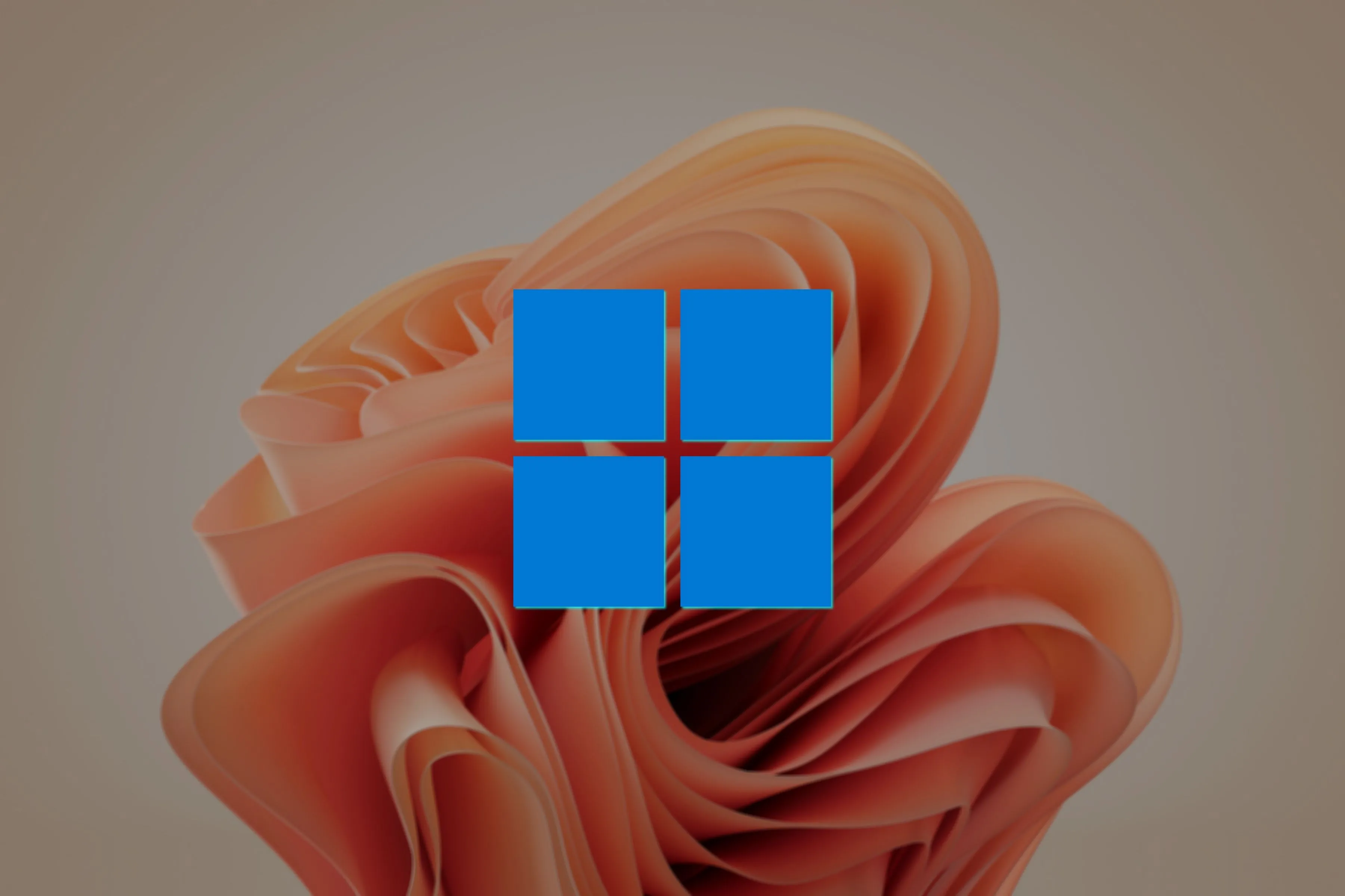 Logo Windows 11 trên hình nền Bloom thể hiện việc chọn phiên bản Windows phù hợp