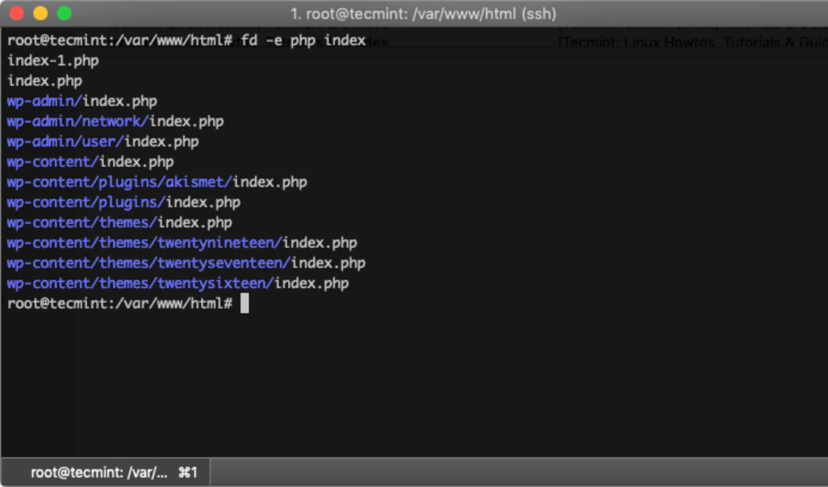 Màn hình terminal Linux hiển thị lệnh fd tìm kiếm chuỗi trong file với kết quả màu sắc