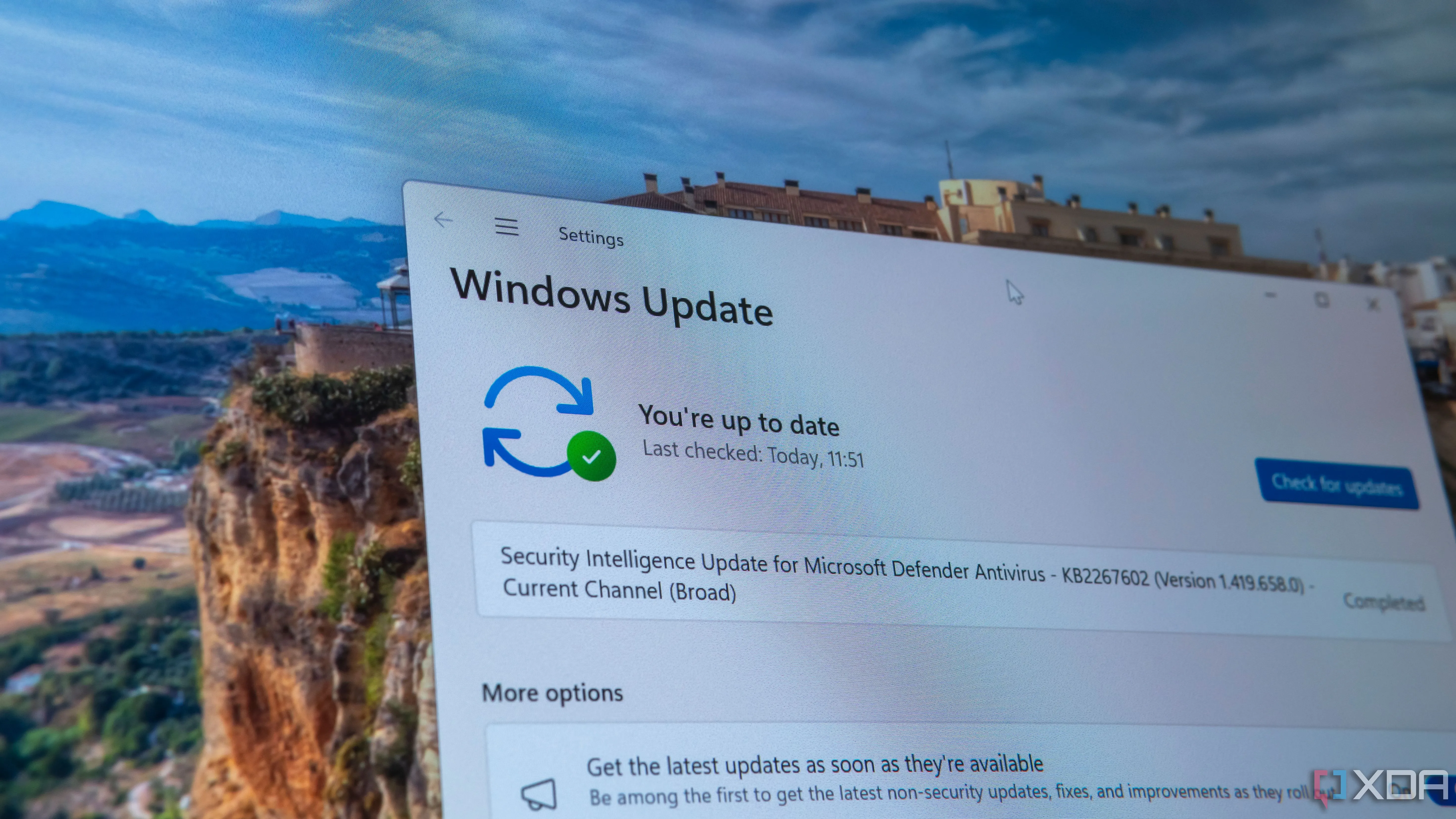 Trang Windows Update trên Windows 11, thể hiện tần suất cập nhật cao mà người dùng chương trình Insider có thể gặp phải.