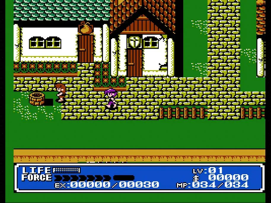 Ảnh chụp màn hình game nhập vai Crystalis trên NES