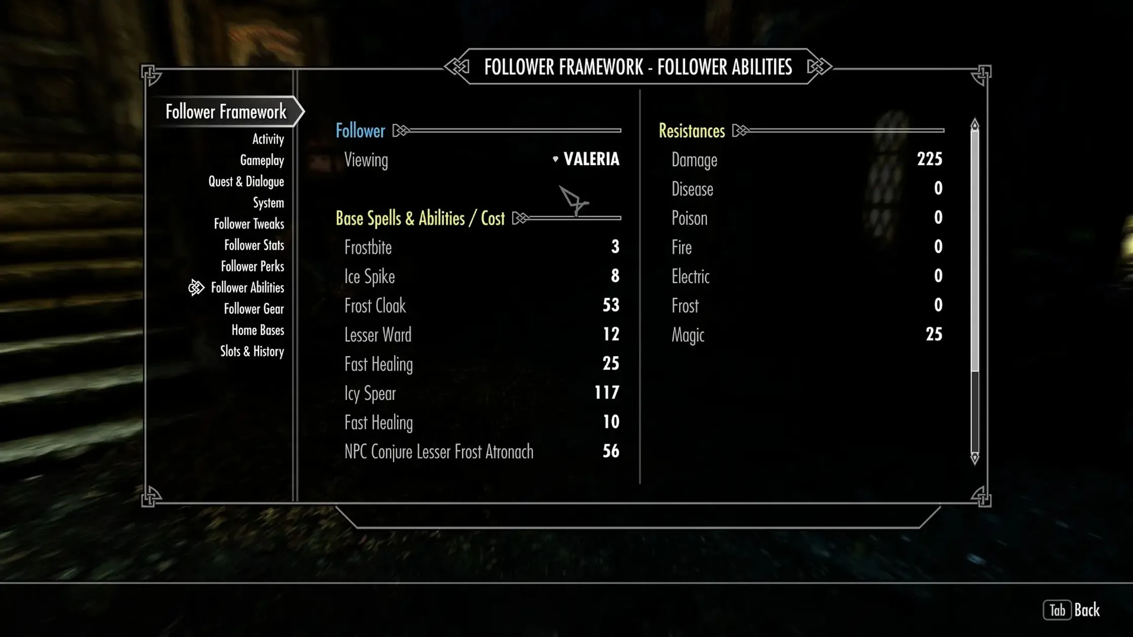 Ảnh trong game Skyrim với nhiều người đi theo được quản lý bởi mod Nether's Follower Framework, minh họa khả năng điều khiển đội hình đồng hành đông đảo.