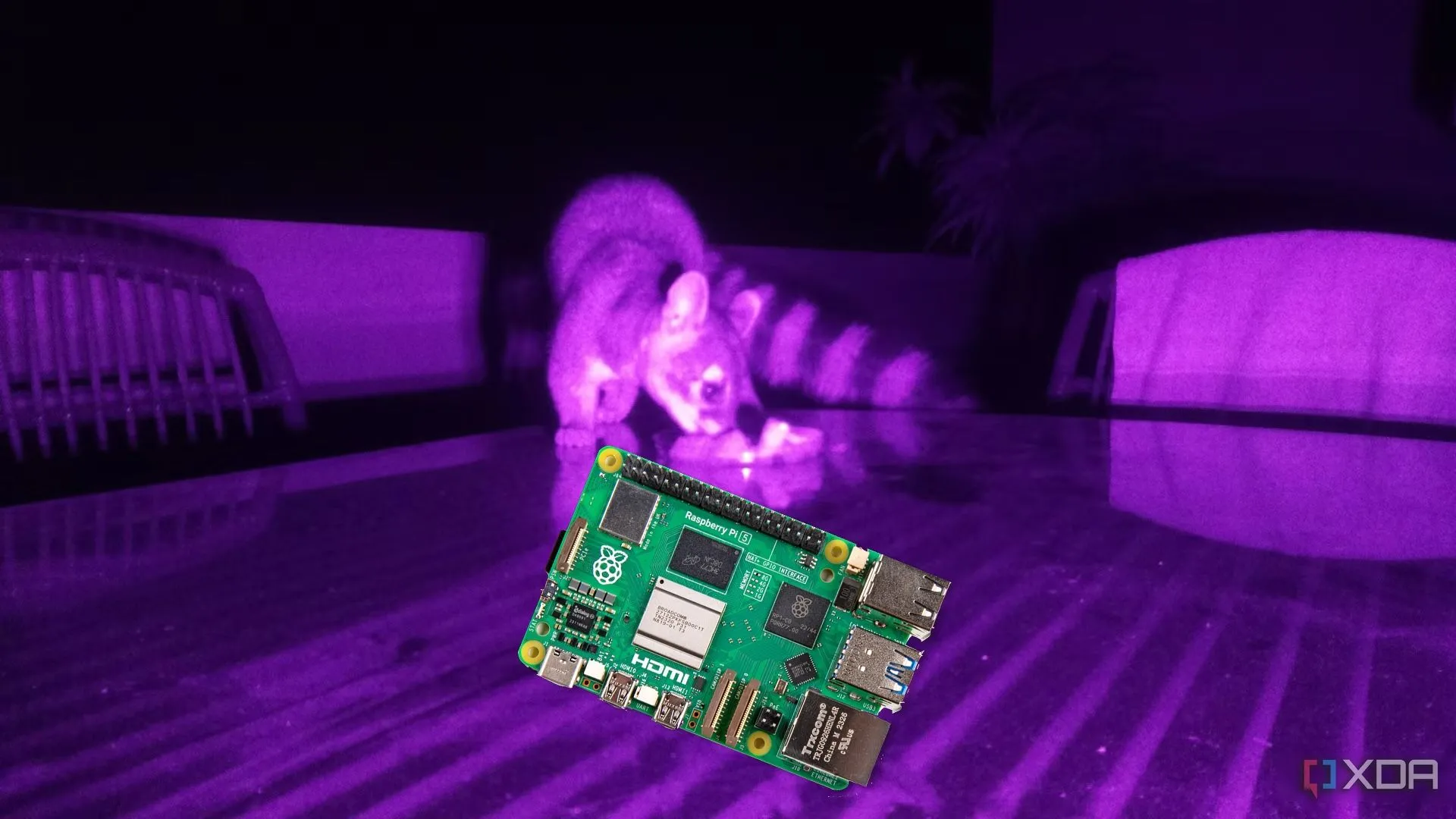 Bo mạch Raspberry Pi đặt trên nền tím, biểu tượng cho vô vàn ứng dụng và dự án sáng tạo