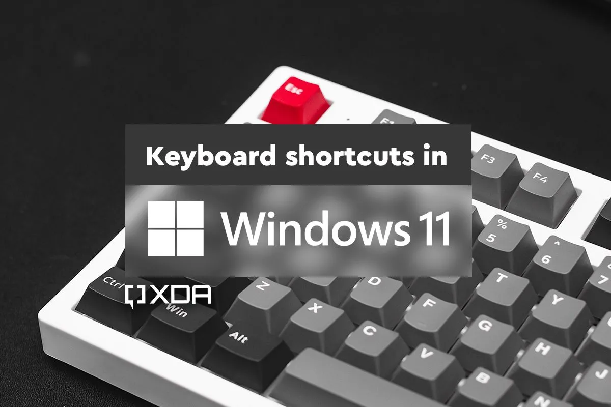 Các phím tắt trên Windows 11 giúp tăng năng suất làm việc hiệu quả
