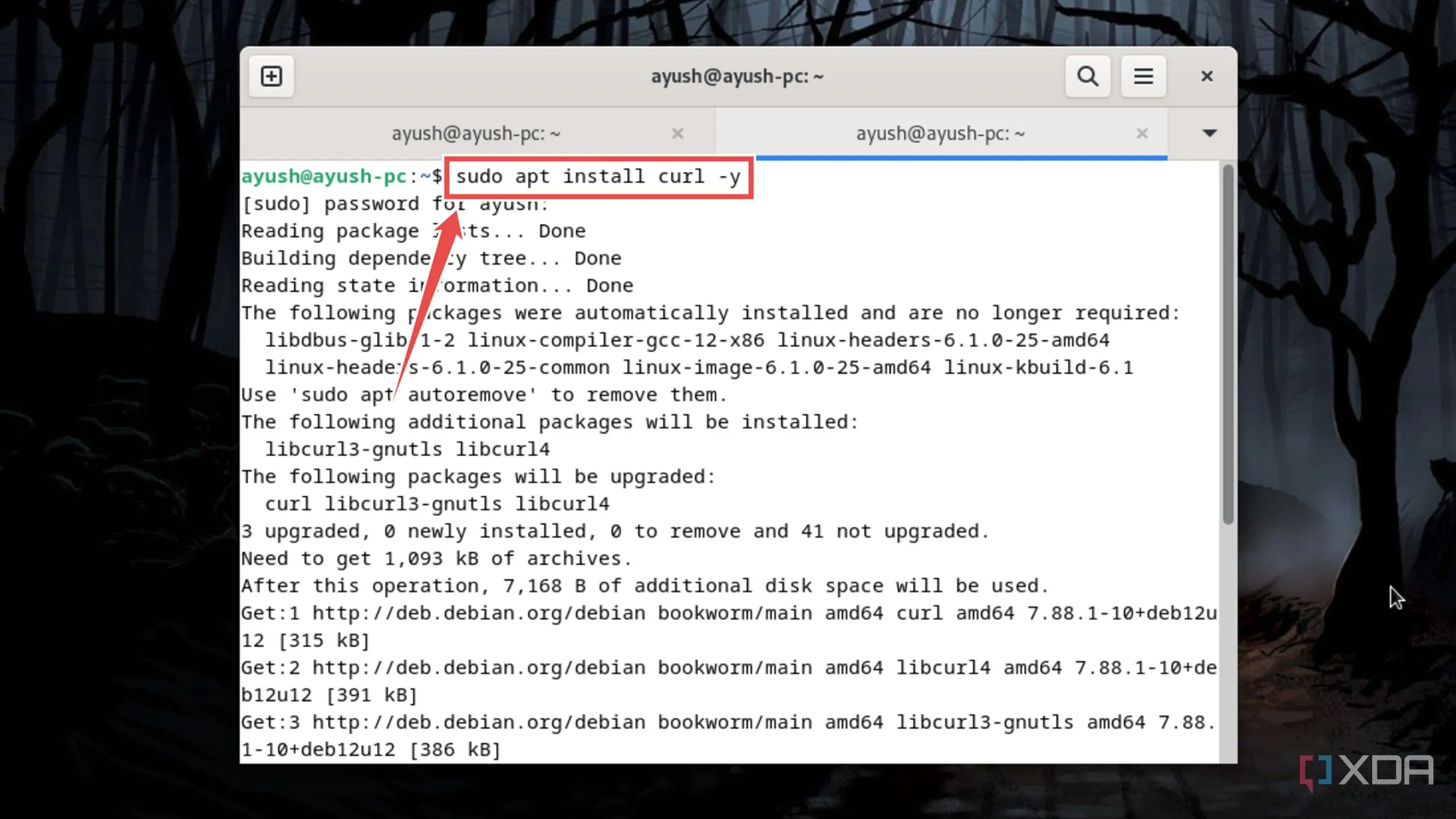 Cài đặt gói curl trên hệ điều hành Linux để chuẩn bị cho Tailscale