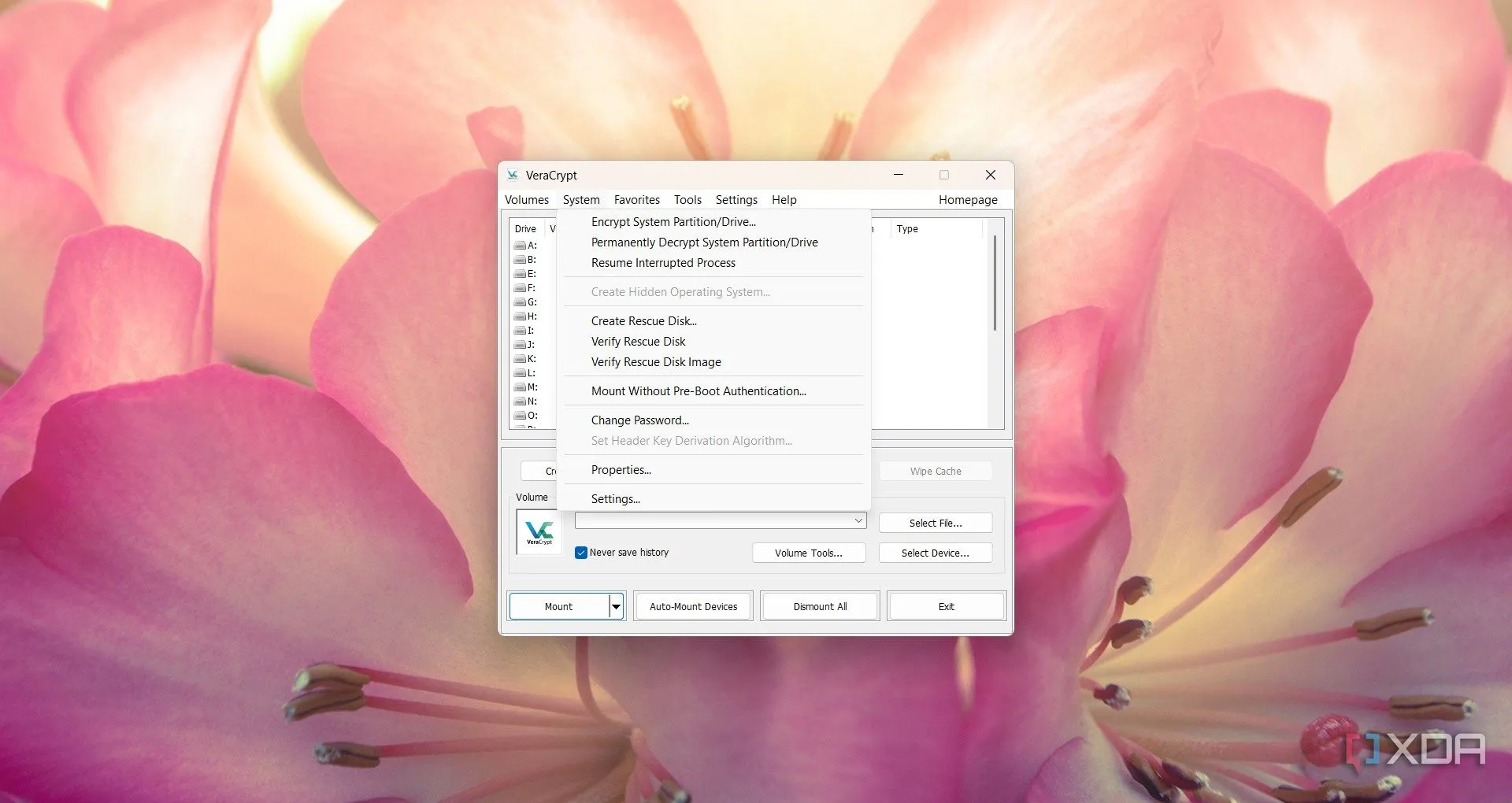 Cài đặt tùy chọn mã hóa trong phần mềm VeraCrypt, minh họa cho việc bảo mật ổ đĩa
