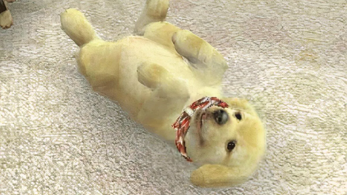 Chú chó Golden Retriever con đáng yêu trong game mô phỏng Nintendogs.