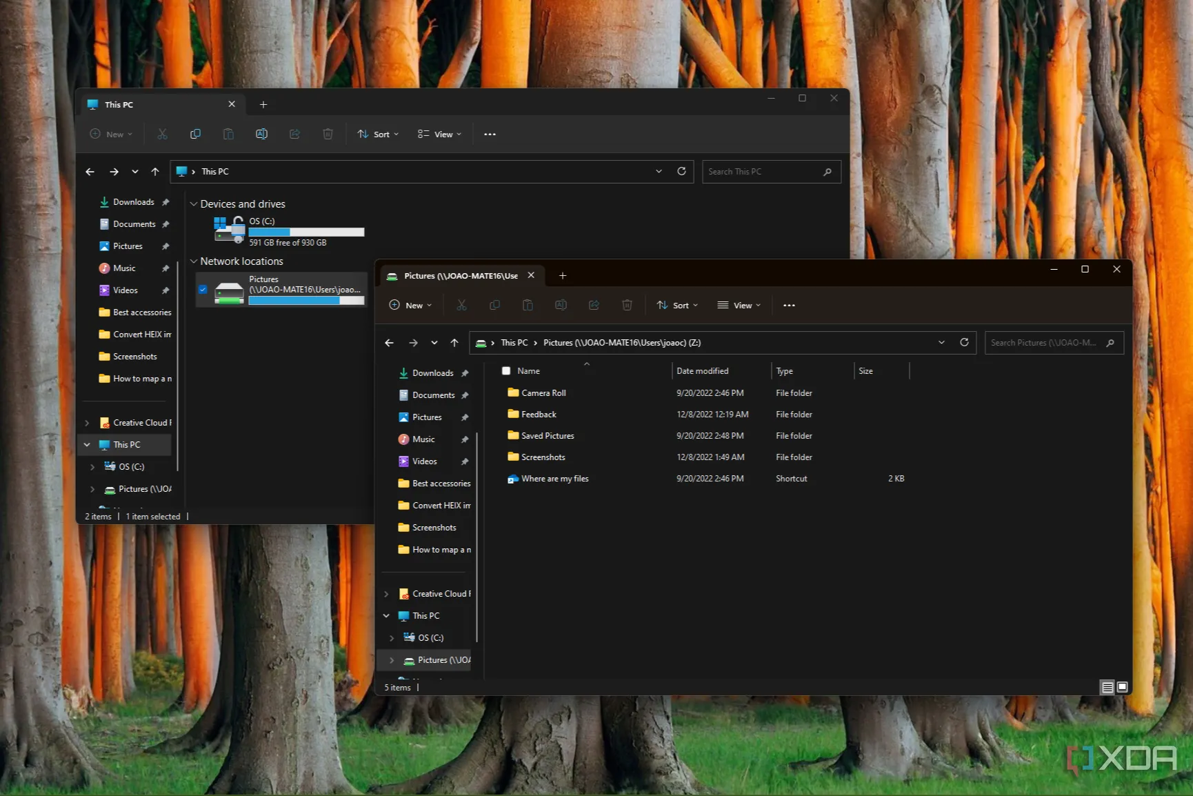 Giao diện File Explorer hiển thị ổ đĩa mạng được ánh xạ và nội dung bên trong