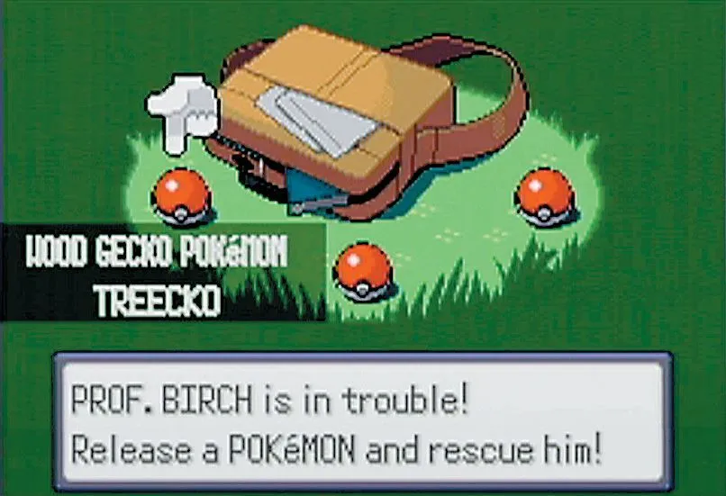 Giao diện quản lý Pokémon trong Pokémon R.O.W.E, hiển thị thông tin chi tiết về Pokémon và các tùy chọn tương tác.