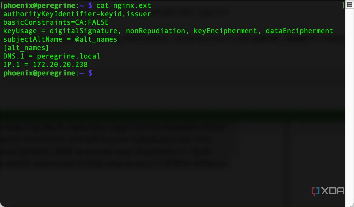 Hiển thị nội dung file cấu hình Nginx extension (nginx.ext) trên Terminal.