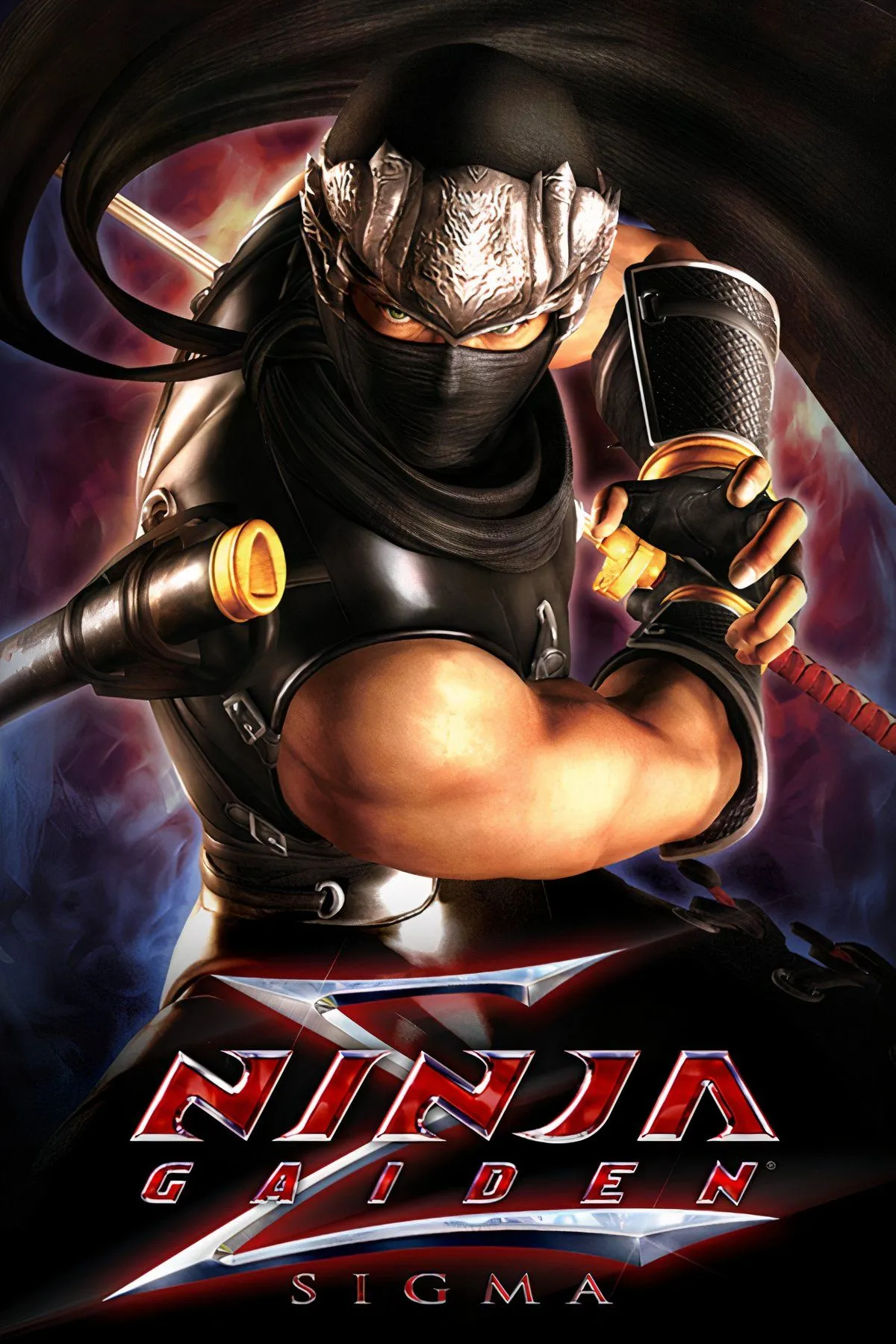 Hình ảnh tập hợp cảnh chơi game của Ninja Gaiden, cho thấy nhân vật chính Ryu Hayabusa đang chiến đấu trong các môi trường khác nhau