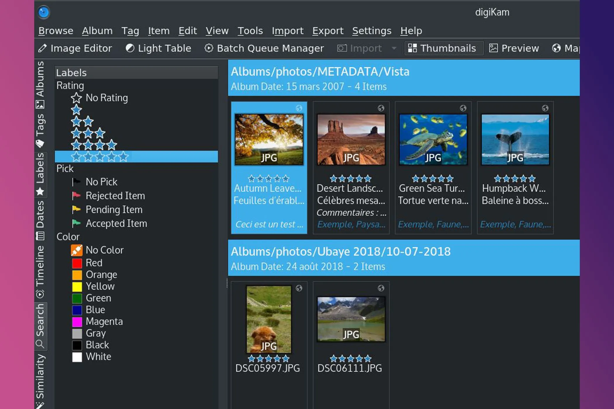 Màn hình chụp của Digikam minh họa tính năng phân loại và gắn thẻ ảnh chuyên nghiệp.