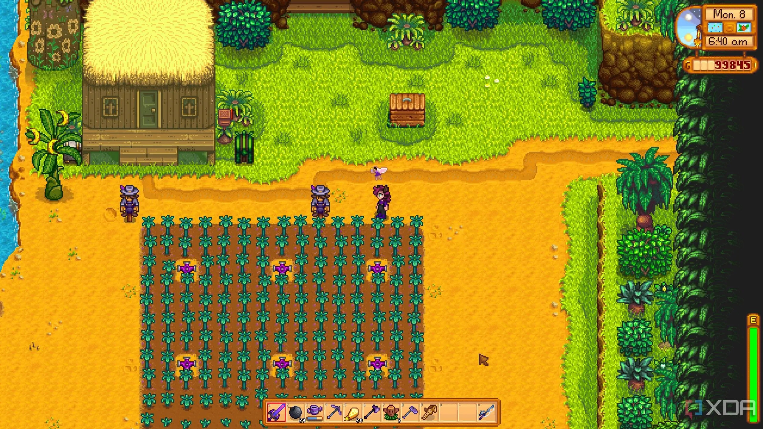 Người chơi đang chăm sóc trang trại trên Đảo Gừng trong Stardew Valley