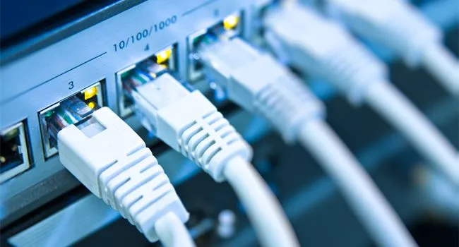 Nhiều cáp mạng được kết nối vào switch, thể hiện tính năng quản lý của thiết bị