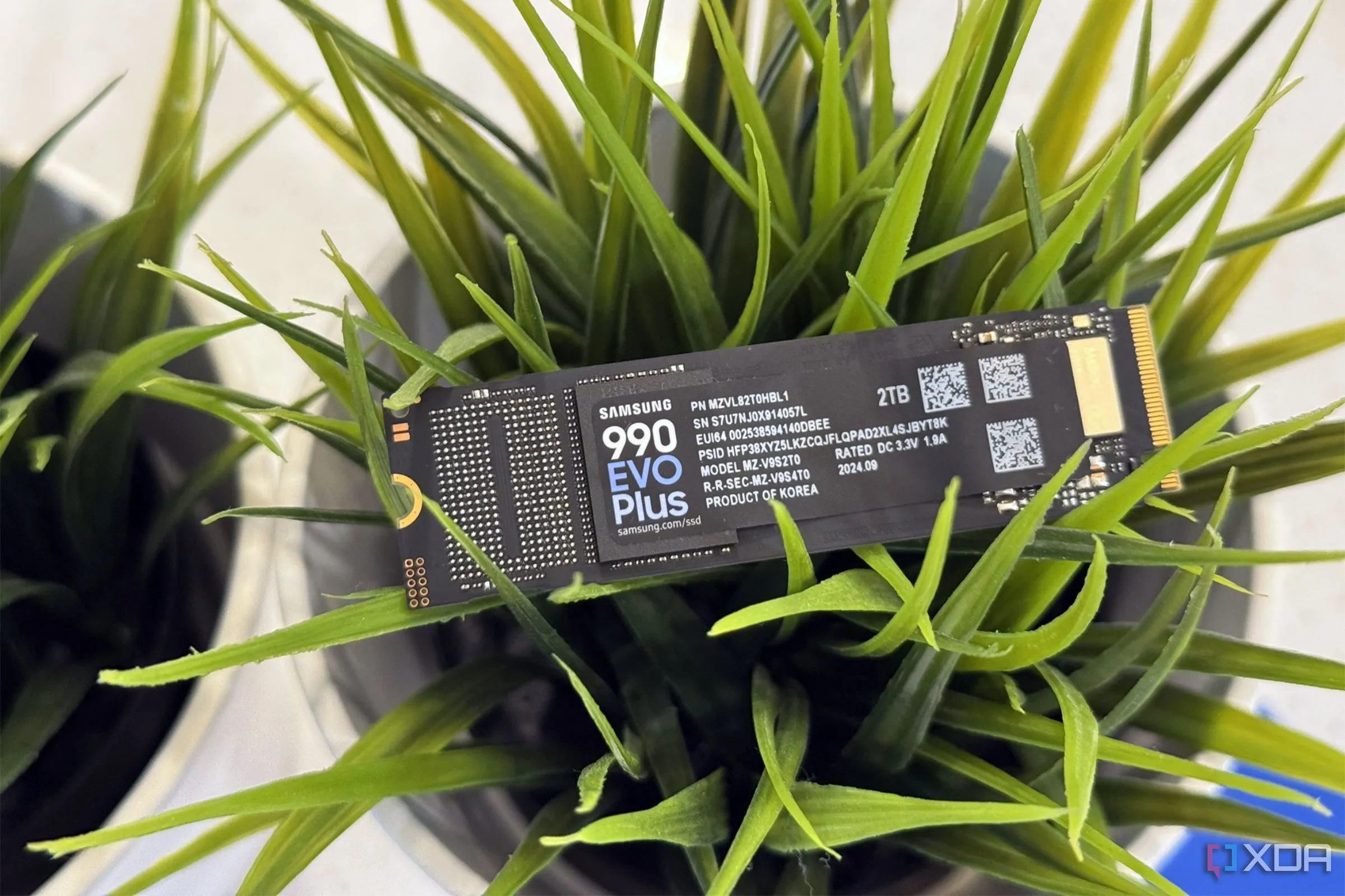 Ổ cứng SSD Samsung 990 Evo Plus đặt cạnh cây cảnh nhỏ, chuẩn bị cho việc kiểm tra thông số