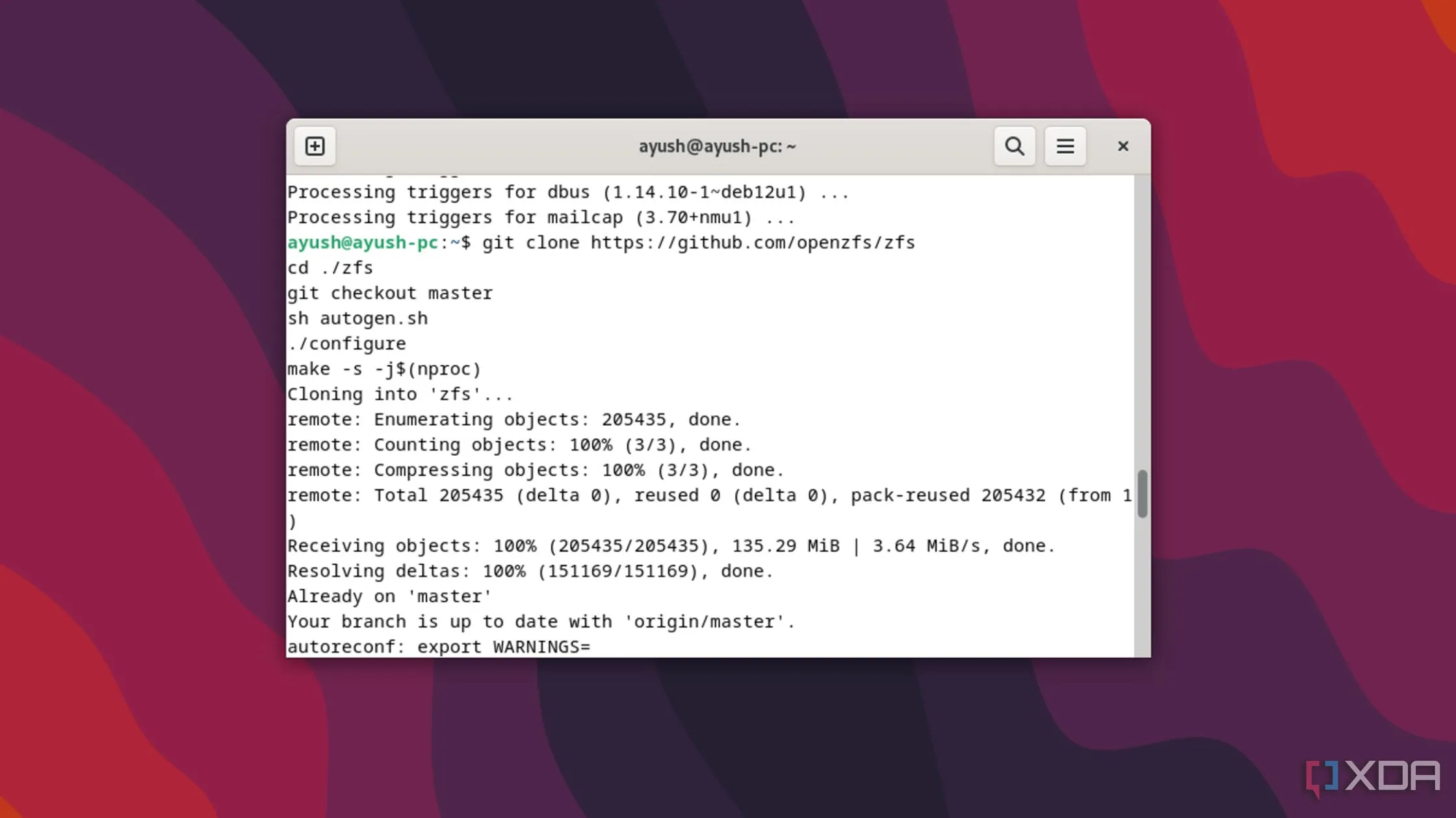 Quá trình cài đặt hệ thống tệp ZFS trên hệ điều hành Debian, minh họa tính năng lưu trữ mạnh mẽ của Linux.