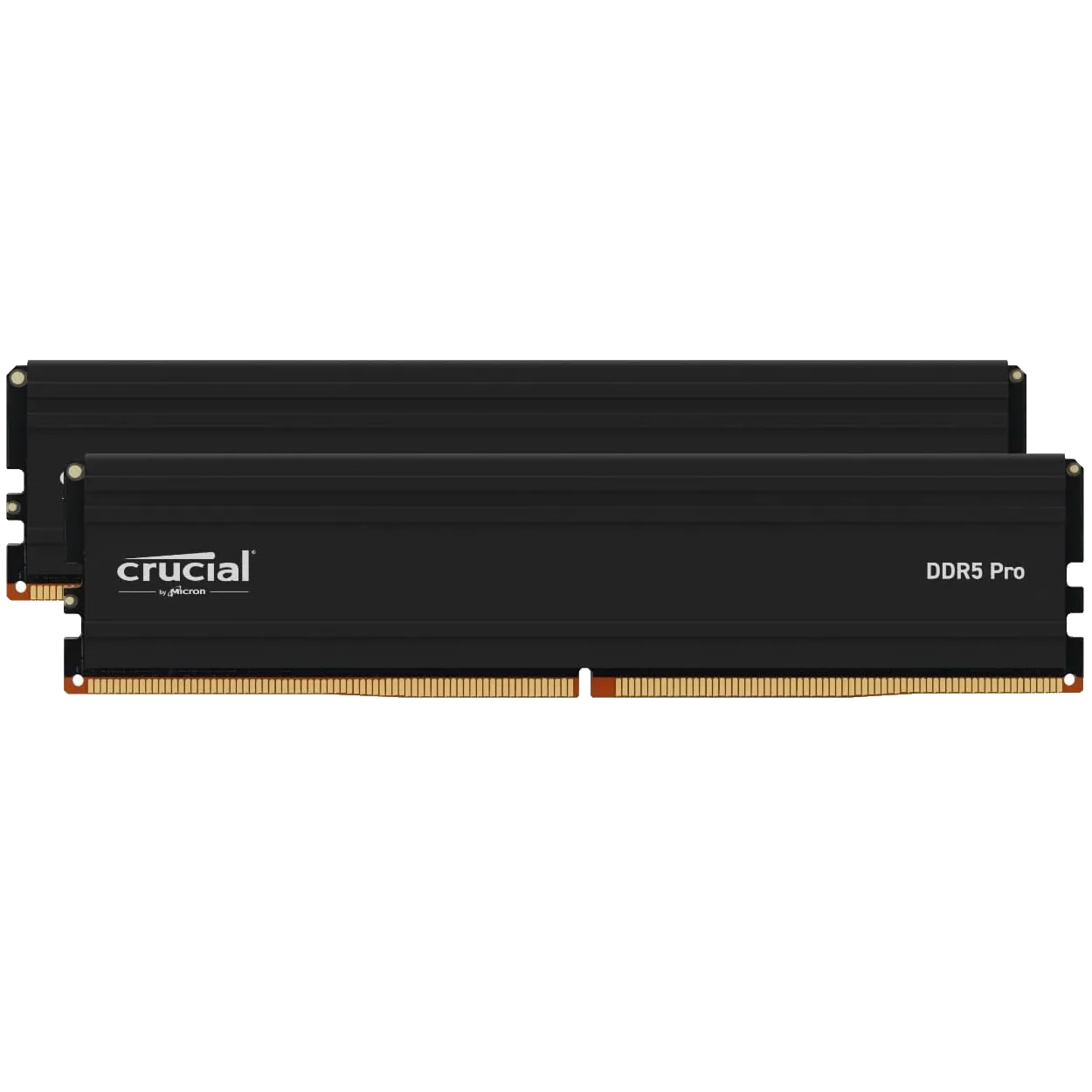 RAM Crucial Pro DDR5