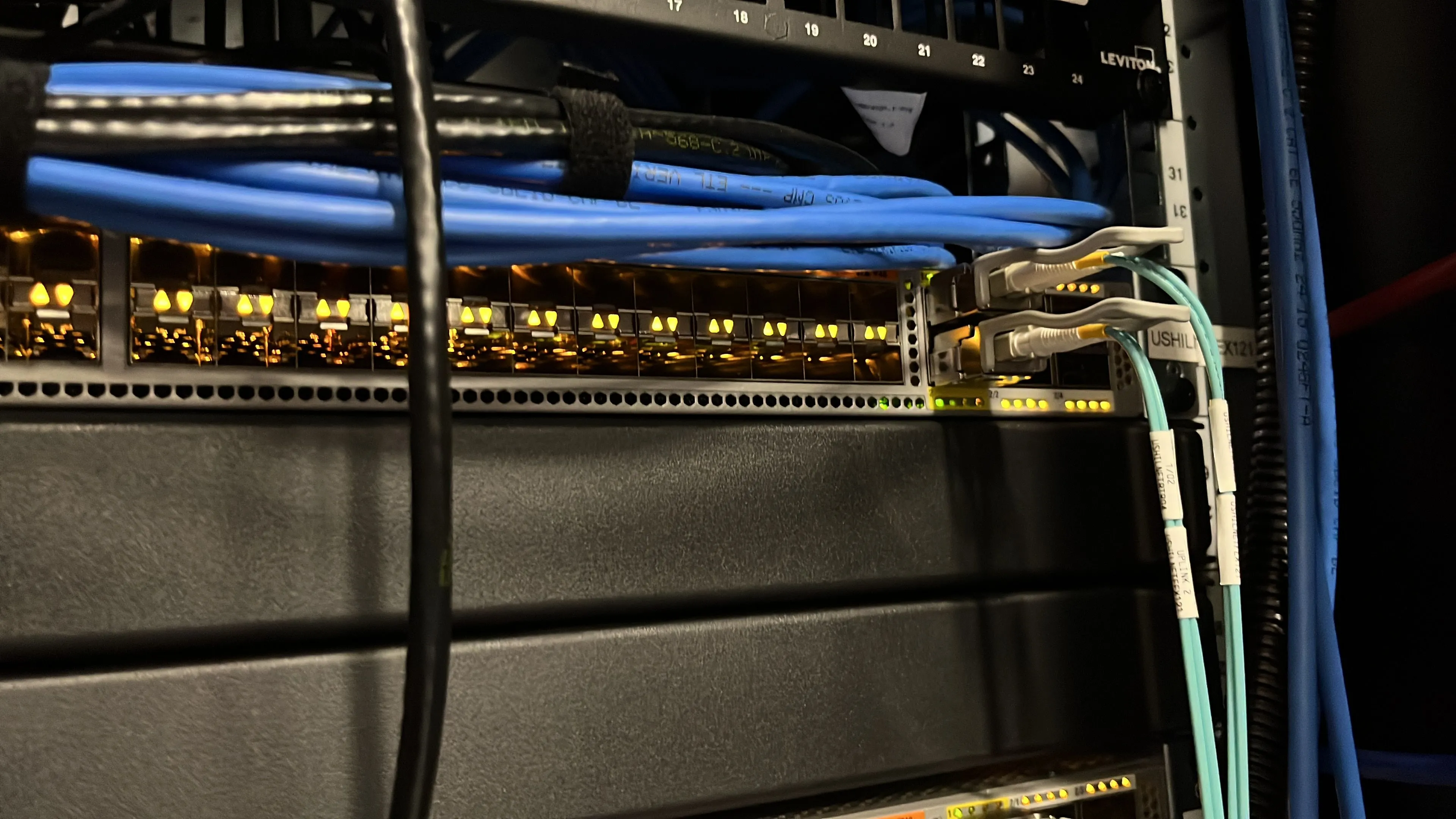 Switch mạng với hệ thống cáp được quản lý gọn gàng, thể hiện sự tổ chức trong mạng