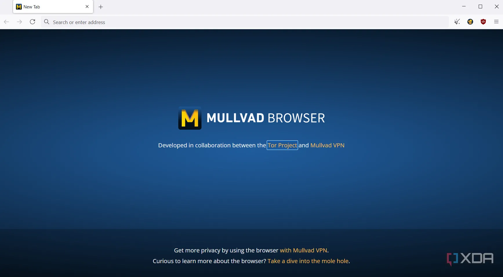 Trang chủ Mullvad Browser